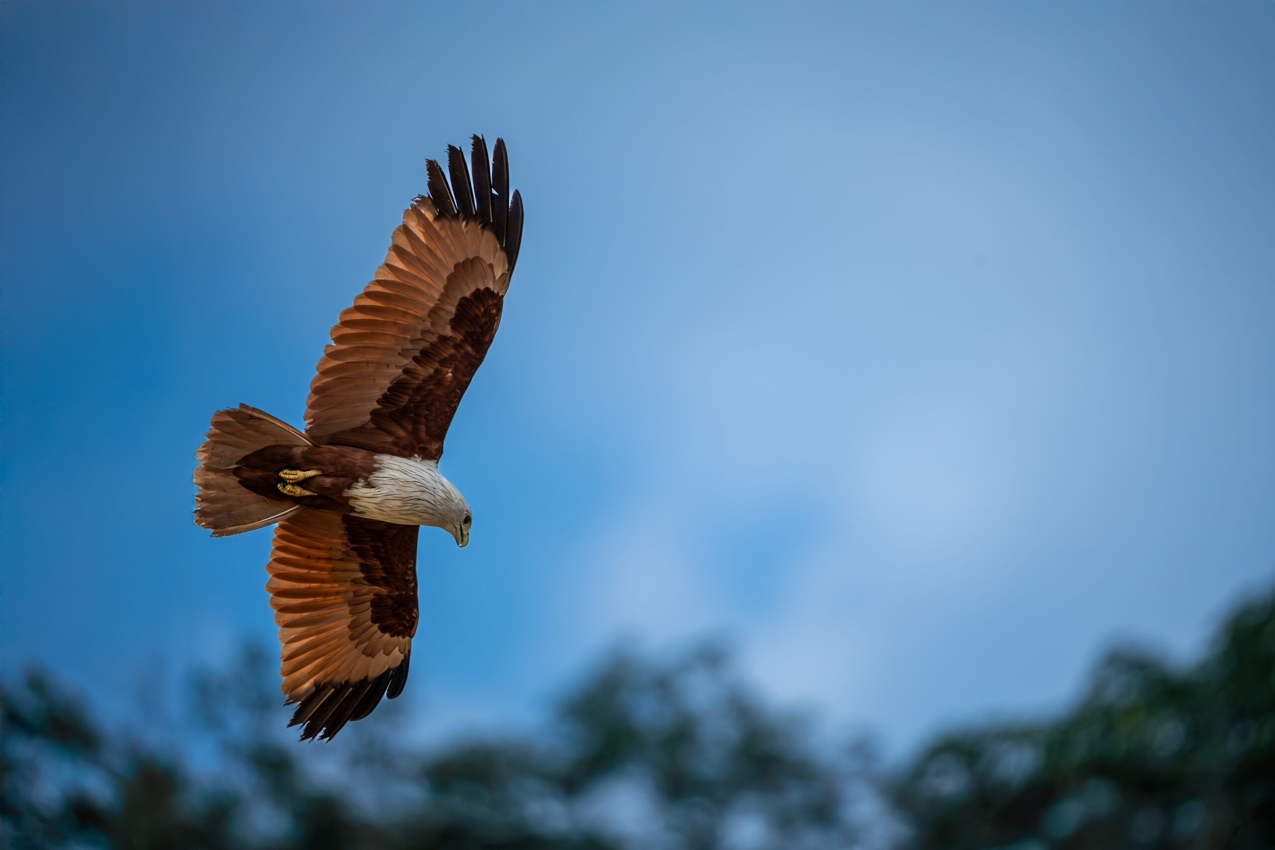 VK_00109-Enhanced-NR-Edit-Edit