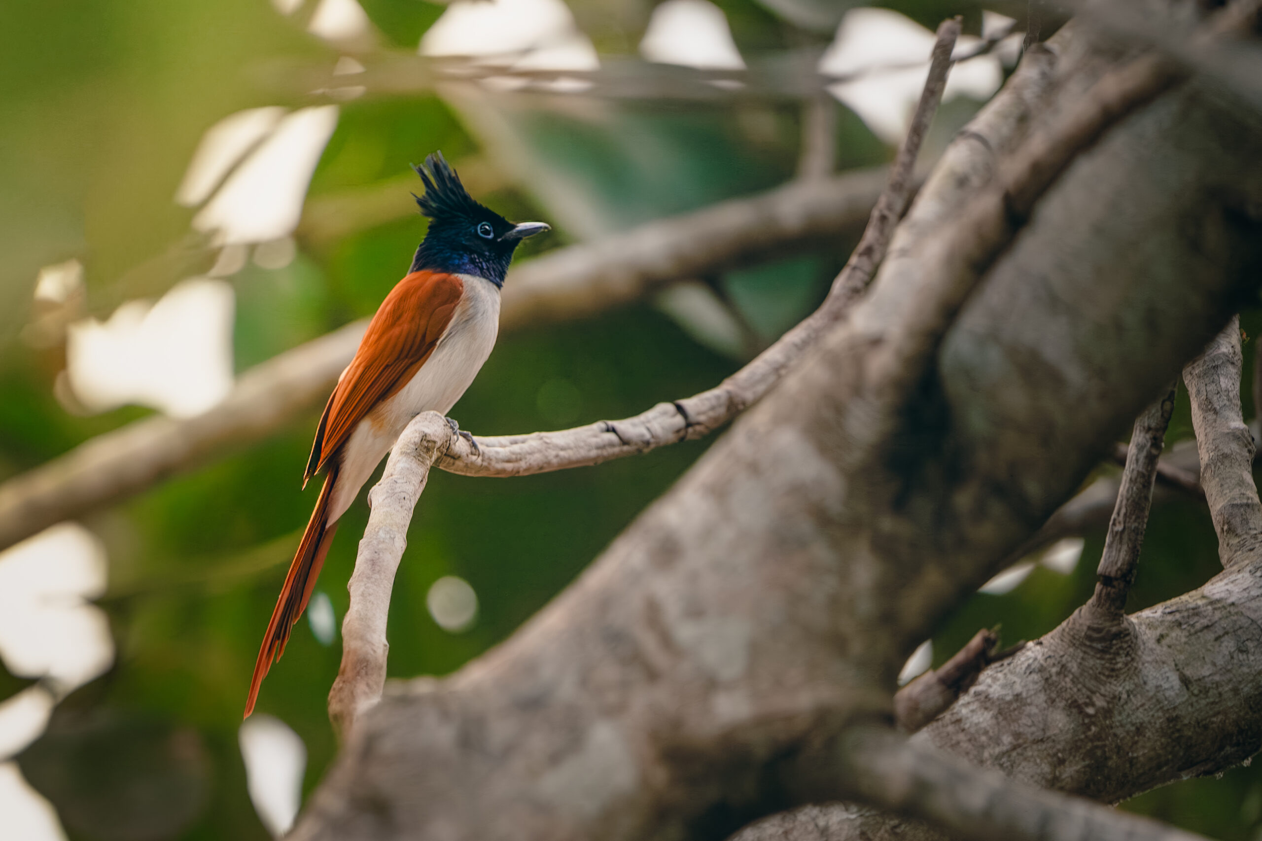 VK_01736-Enhanced-NR-Edit-3