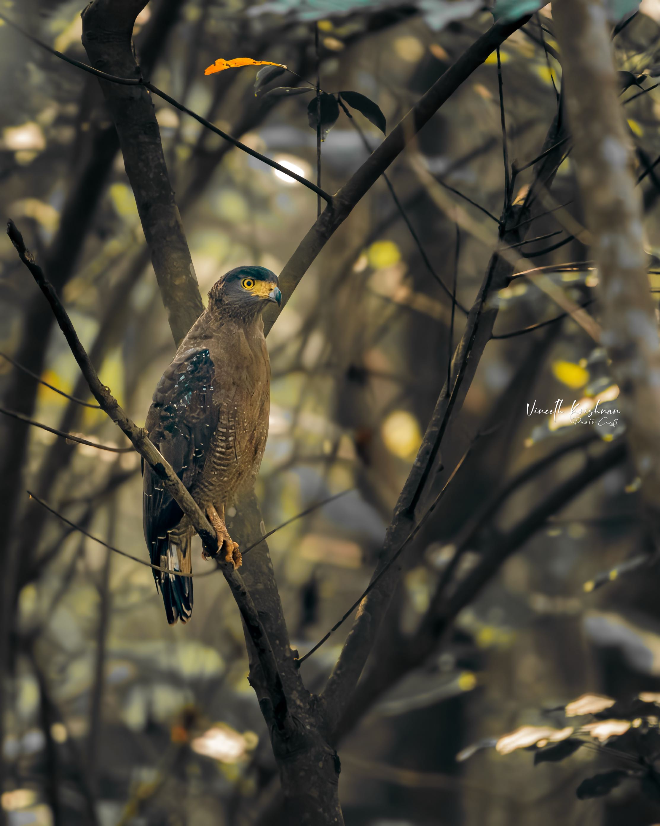 VK_03946-Enhanced-NR-Edit