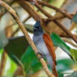 VK_04768-Enhanced-NR-Edit