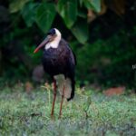 VK_09341-Enhanced-NR