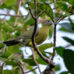 VK_09710-Enhanced-NR-Edit-2