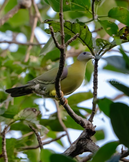 VK_09710-Enhanced-NR-Edit-2